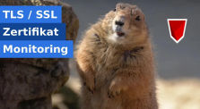 Monitoring von TLS/SSL-Zertifikaten mit Open-Source Tools by LastBreach