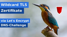 LetsEncrypt Wildcard Zertifikat erstellen (DNS-Challenge) by LastBreach